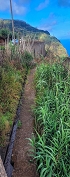 Plants: image 3 Of 208 Thumb